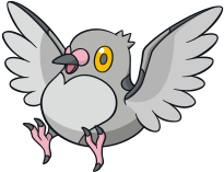 #519 Pidove