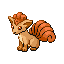 #037 Vulpix